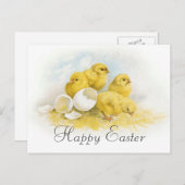 Vintage Hühner Feiertagspostkarte (Vorne/Hinten)