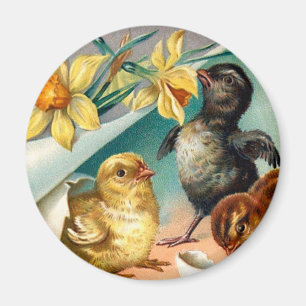 Vintage Hühner mit gelben Blumen Ostergrauen Magnet