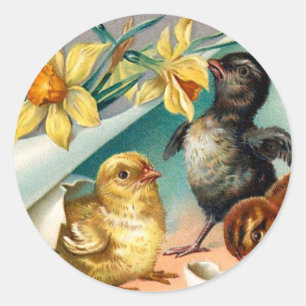 Vintage Hühner mit gelben Blumen Ostergrauen Runder Aufkleber