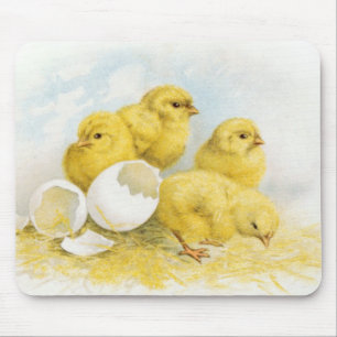 Vintage Hühner Mousepad