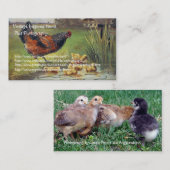 Vintage Hühnerartikel und Fotografien Visitenkarte (Vorne/Hinten)