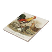 Vintage Huhnfamilienillustration Fliese (Seite)