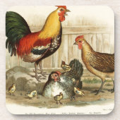 Vintage Huhnfamilienillustration Untersetzer (Vorderseite)