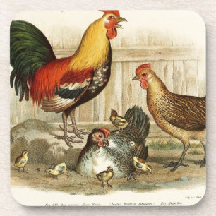 Vintage Huhnfamilienillustration Untersetzer
