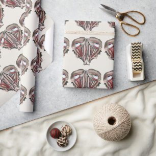 Vintage Human Anatomie Wissenschaft, Augäpfel Auge Geschenkpapier