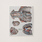 Vintage Human Anatomy Chest, Organs, Eyes Puzzle (Vertikal)