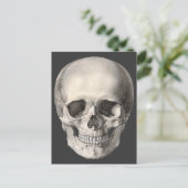 Vintage Human Anatomy Skull, Halloween Skeleton Postkarte (Stehend Vorderseite)