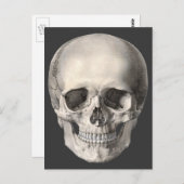 Vintage Human Anatomy Skull, Halloween Skeleton Postkarte (Vorne/Hinten)