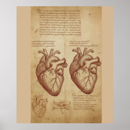 Vintage Human Heart Anatomy Scientific Study Poste Poster