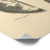 Vintage Human Skull Bones 1880 Print Poster (Ecke)