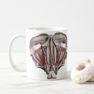 Vintage Humananatomie Wissenschaft, Augäpfel Augen Kaffeetasse