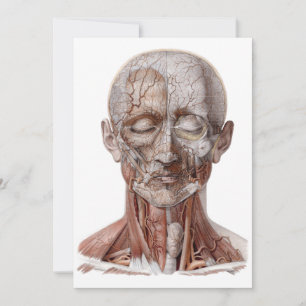 Vintage Humananatomie Wissenschaft, Kopf Kehle Nas