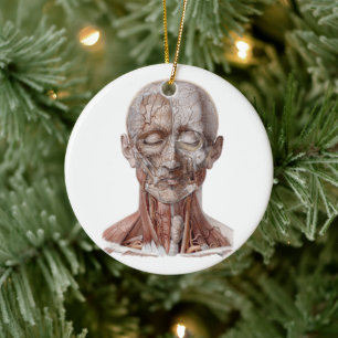 Vintage Humananatomie Wissenschaft, Kopf Kehle Nas Keramik Ornament