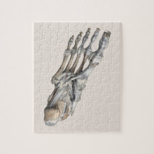 Vintage Humananatomie Wissenschaft, Skelettfüße Puzzle