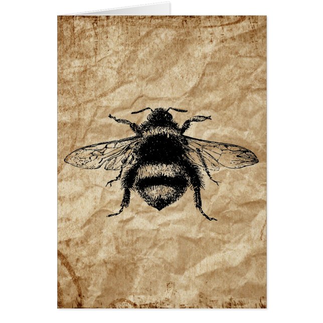 Vintage Hummel (Vorne)