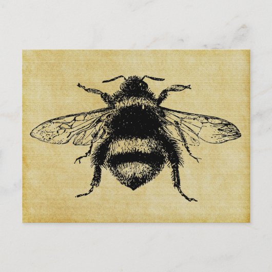 Vintage Hummel Postkarte (Vorderseite)