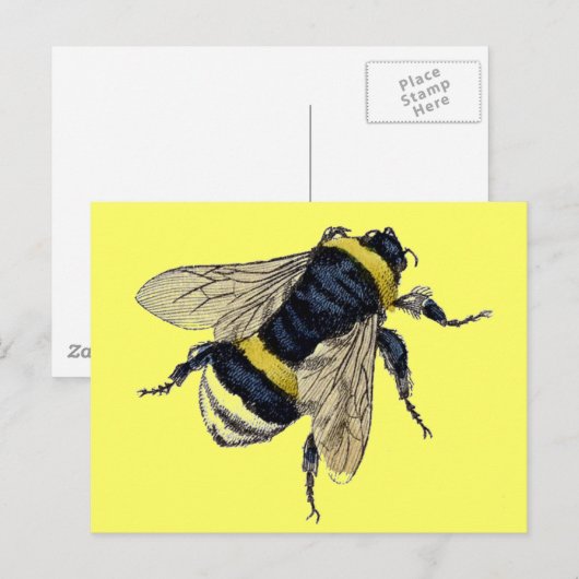 Vintage Hummel Postkarte (Vorne/Hinten)