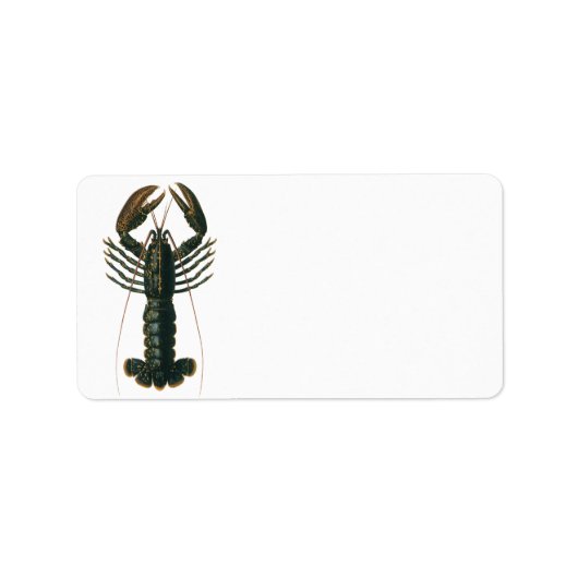 Vintage Hummer, marines Leben Adressaufkleber (Vorne)