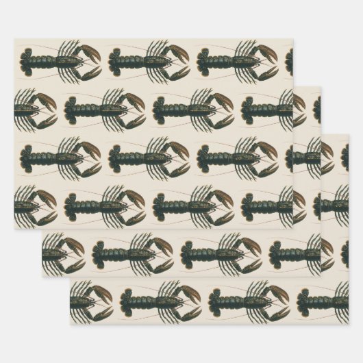 Vintage Hummer, marines Leben Geschenkpapier Set (Set)