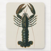 Vintage Hummer, marines Leben Mousepad (Vorne)