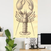 Vintage Hummerdiagramm (1897) Poster (Heimbüro)