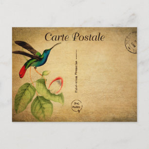 Vintage Humming Bird Floral Blume Französisch Postkarte
