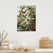Vintage Humming Birds Poster (Küche)