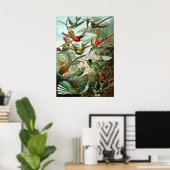 Vintage Hummingbird-Illustration Poster (Heimbüro)