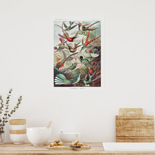 Vintage Hummingbird-Illustration Poster (Küche)