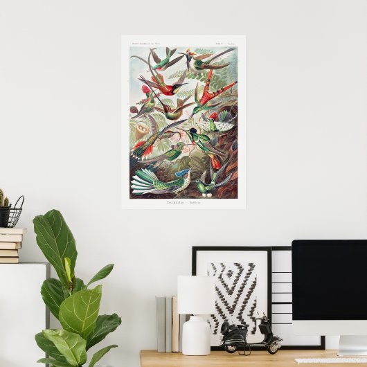 Vintage Hummingbird-Illustration Poster (Heimbüro)