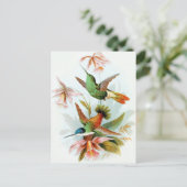 Vintage Hummingbird-Illustration Postkarte (Stehend Vorderseite)