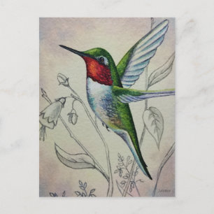 Vintage Hummingbird No. 1 Watercolor Art Postkarte