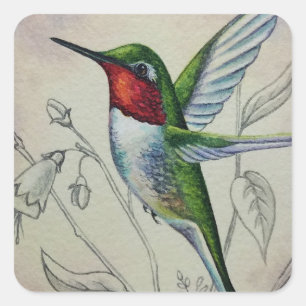 Vintage Hummingbird No. 1 Watercolor Art Quadratischer Aufkleber