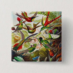 Vintage Hummingbirds von Ernst Haeckel Button