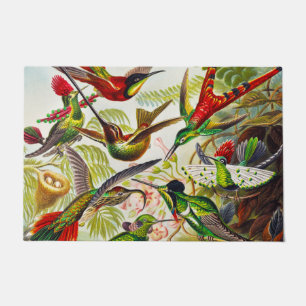 Vintage Hummingbirds von Ernst Haeckel Fußmatte