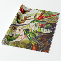 Vintage Hummingbirds von Ernst Haeckel
