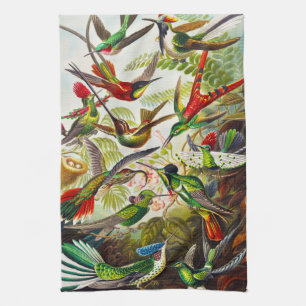 Vintage Hummingbirds von Ernst Haeckel Geschirrtuch