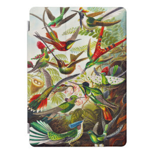 Vintage Hummingbirds von Ernst Haeckel iPad Pro Cover