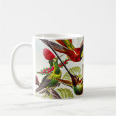 Vintage Hummingbirds von Ernst Haeckel Kaffeetasse (Links)