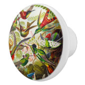 Vintage Hummingbirds von Ernst Haeckel Keramikknauf (Rechts)