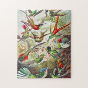 Vintage Hummingbirds von Ernst Haeckel Puzzle