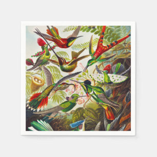 Vintage Hummingbirds von Ernst Haeckel Serviette