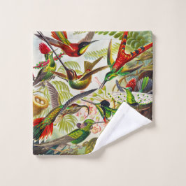 Vintage Hummingbirds von Ernst Haeckel Waschlappen