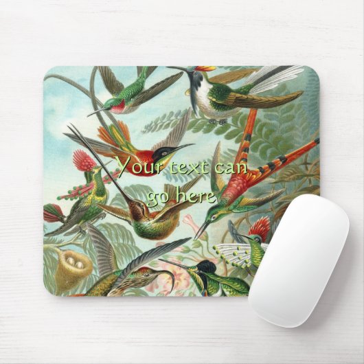 Vintage Hummingvögel Mousepad (Mit Mouse)
