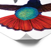 Vintage Hummingvögel Poster (Ecke)