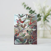 Vintage Hummingvögel Postkarte (Stehend Vorderseite)