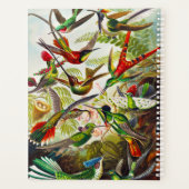 Vintage Hummingvögel von Ernst Haeckel Planer (Rückseite)