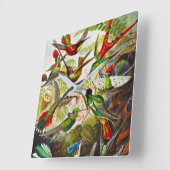 Vintage Hummingvögel von Ernst Haeckel Quadratische Wanduhr (Winkel)