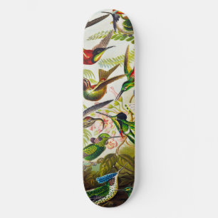 Vintage Hummingvögel von Ernst Haeckel Skateboard