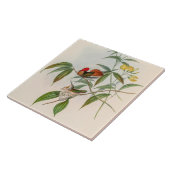 Vintage Hummingvögel von John Gould Fliese (Seite)